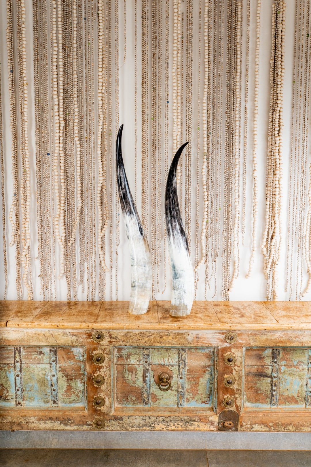 Ankole Horn