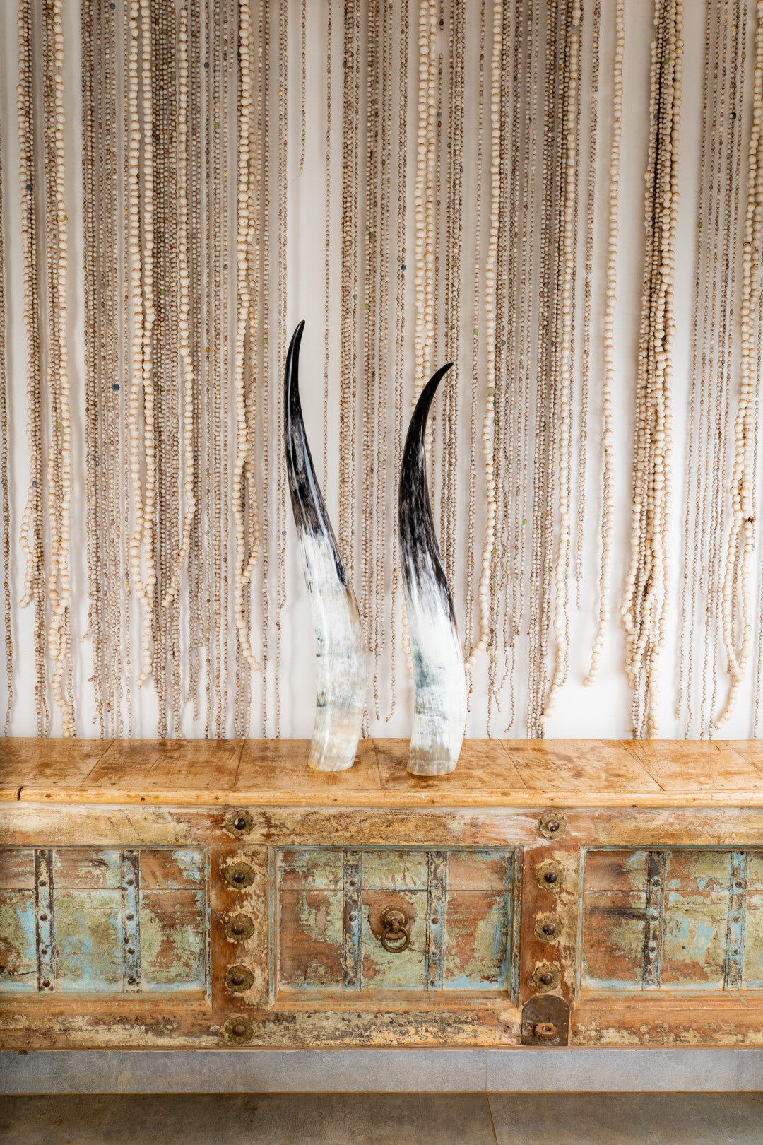 Ankole Horn