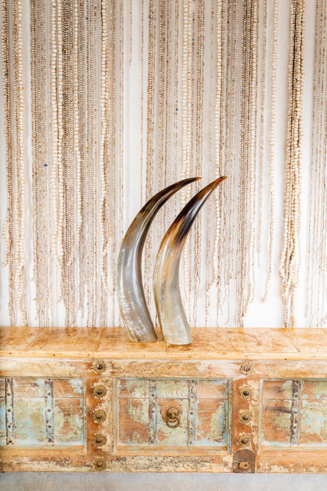 Ankole Horn
