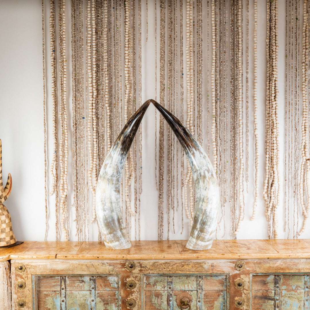 Ankole Horn