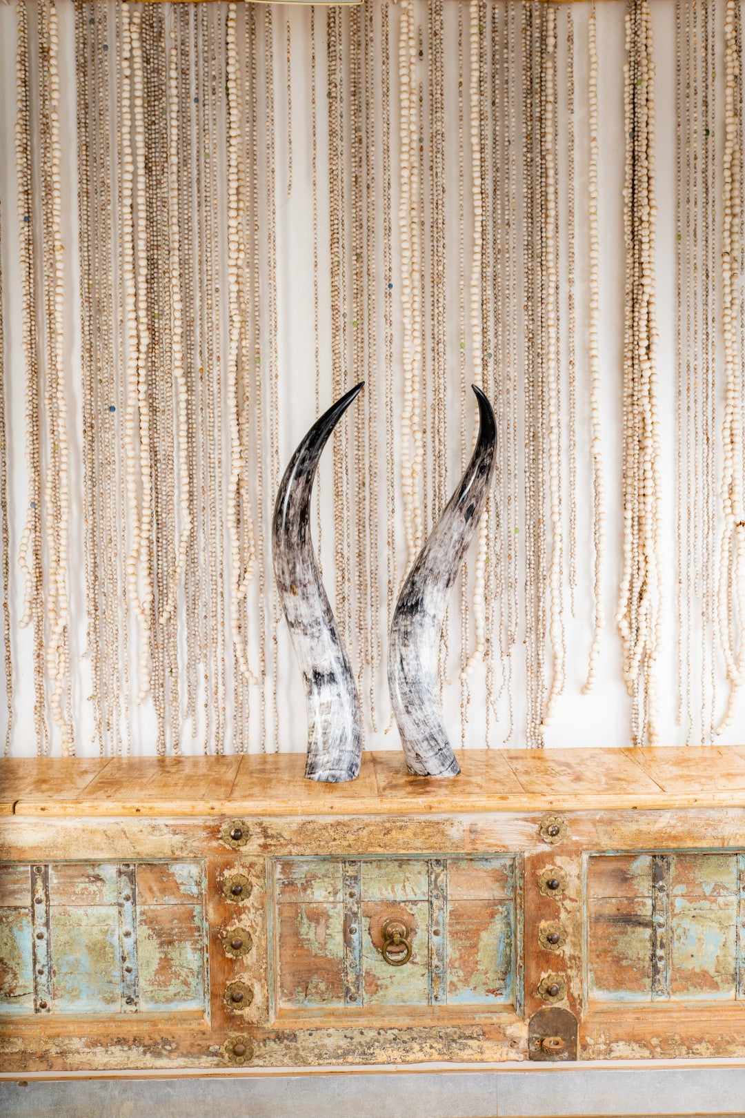 Ankole Horn