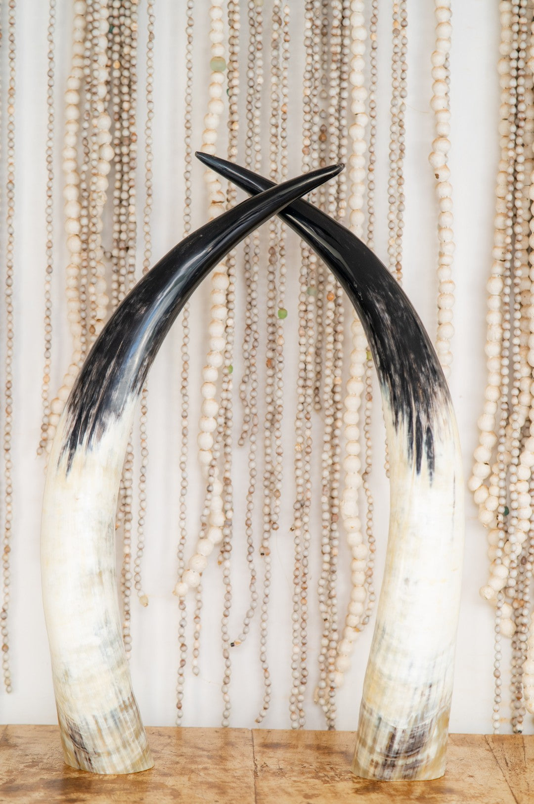 Ankole Horn