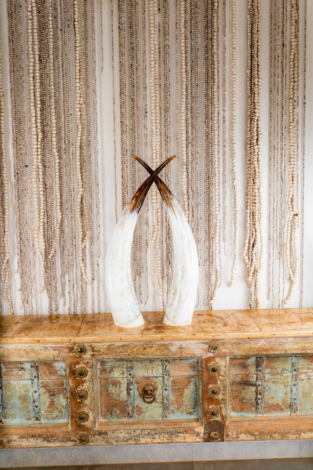 Ankole Horn