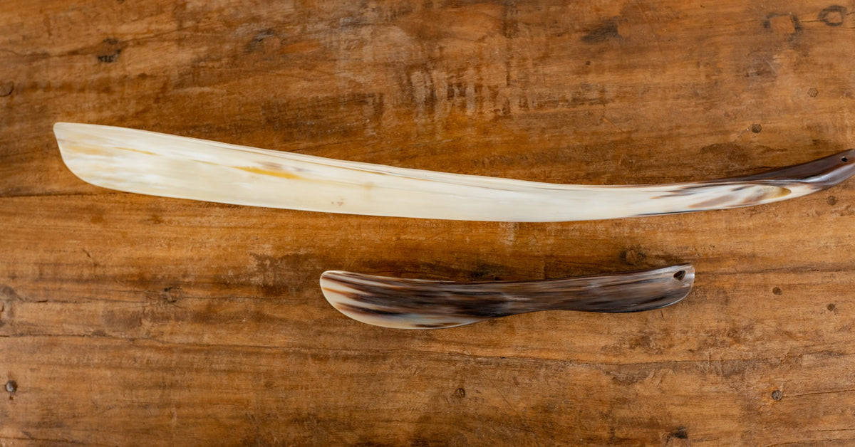Shoe Horn