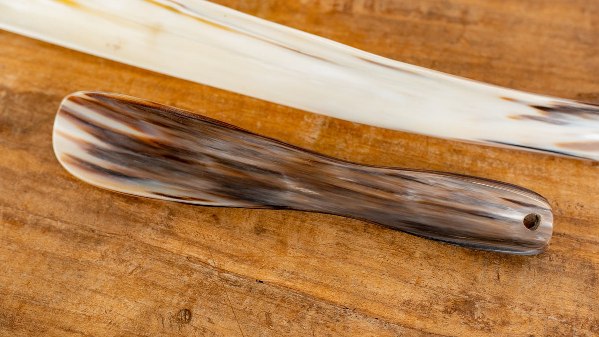 Shoe Horn