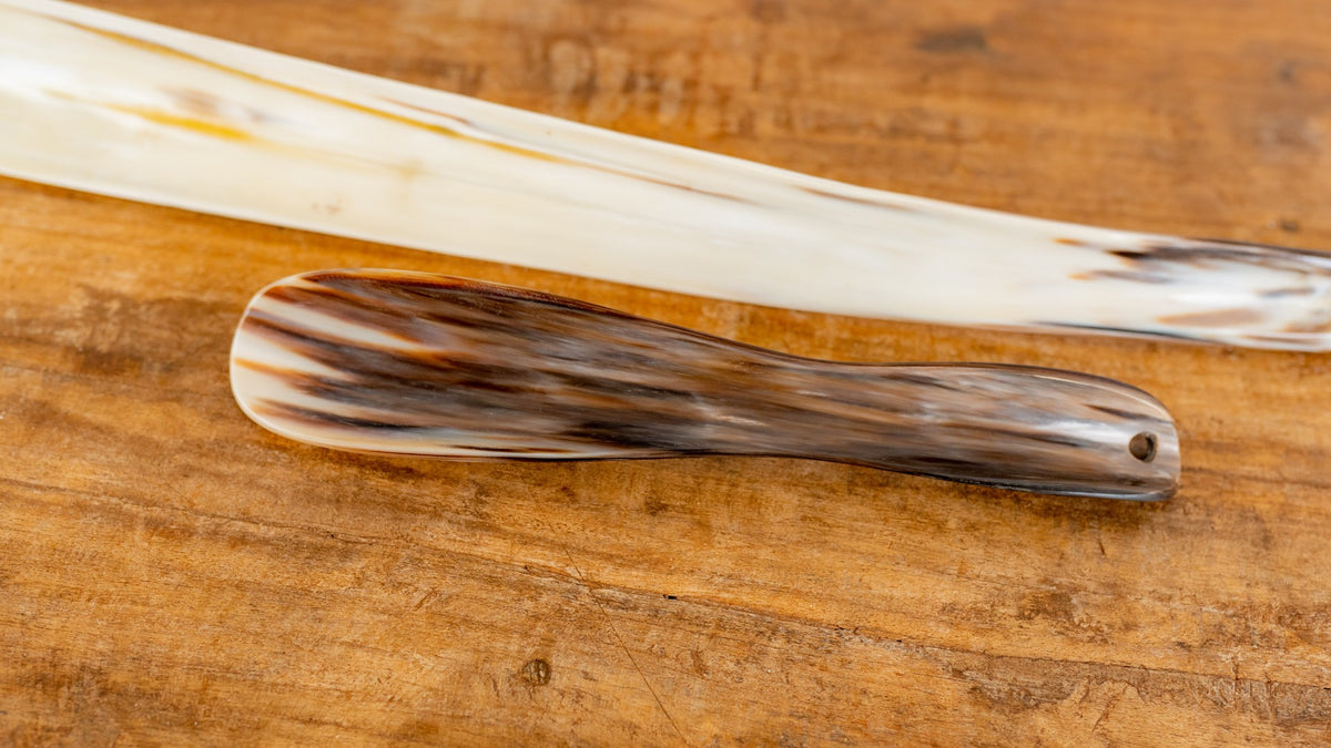 Shoe Horn