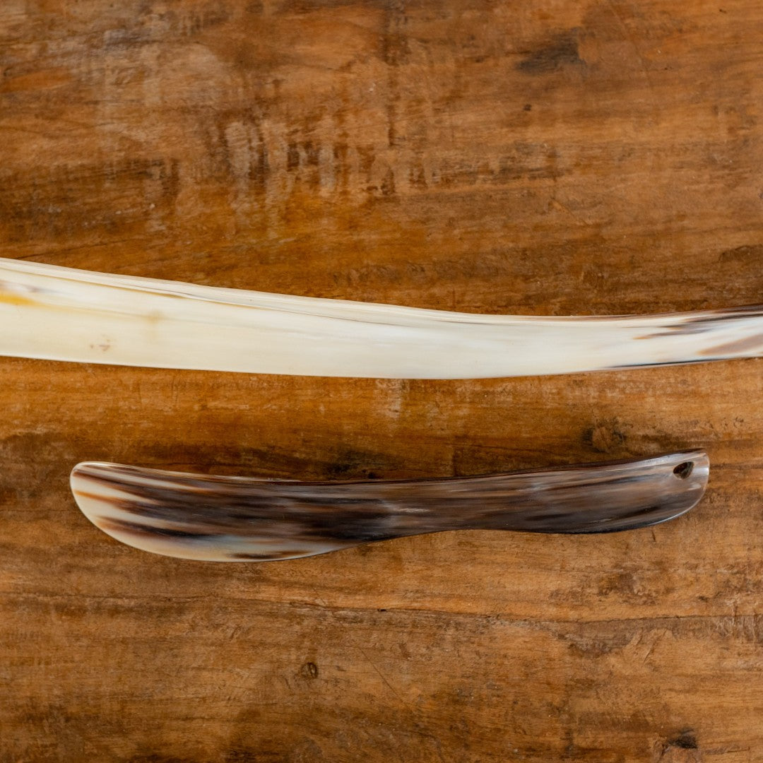 Shoe Horn