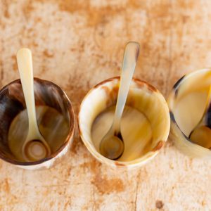 Spices Holder with Spoon