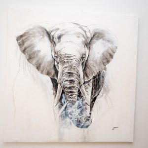 The Elephant Black & White